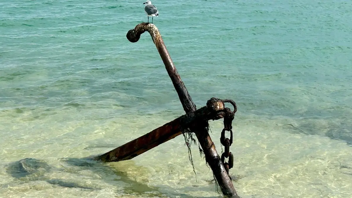 A rustic anchor on a shoreline with a seagull sitting on it, symbolizing finding hope